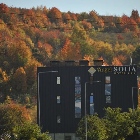 Hotel Angel Sofia Fălticeni Екстериор снимка