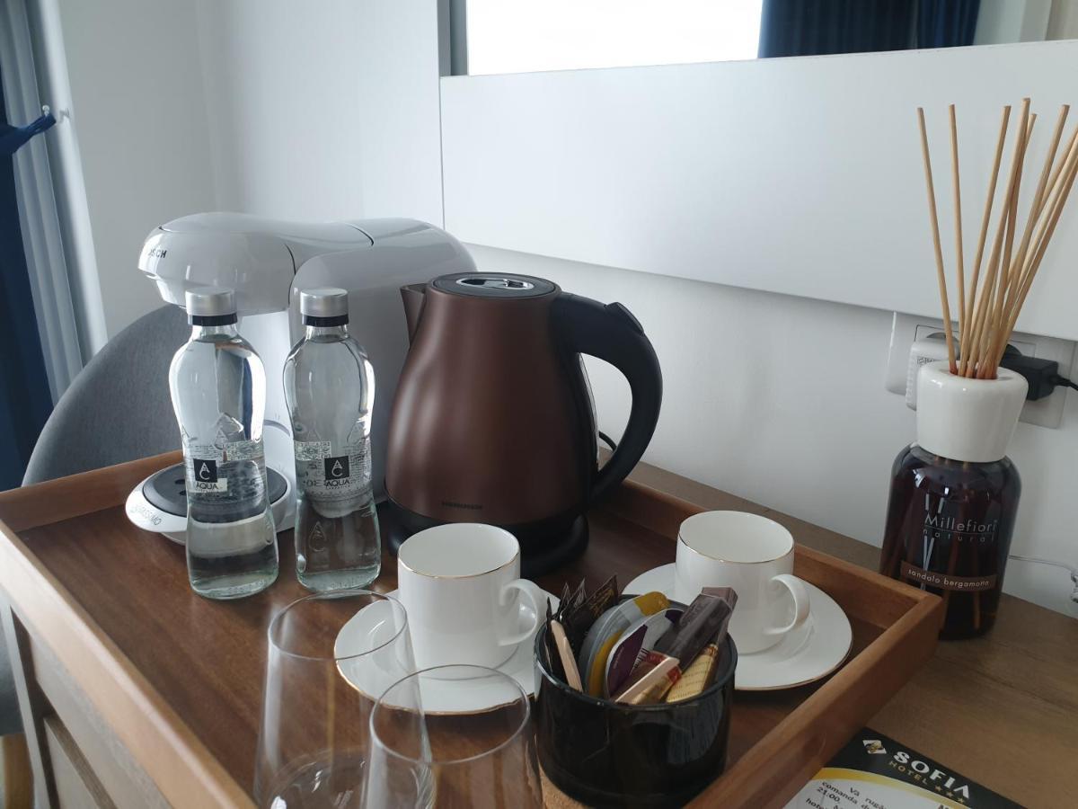 Hotel Angel Sofia Fălticeni Екстериор снимка