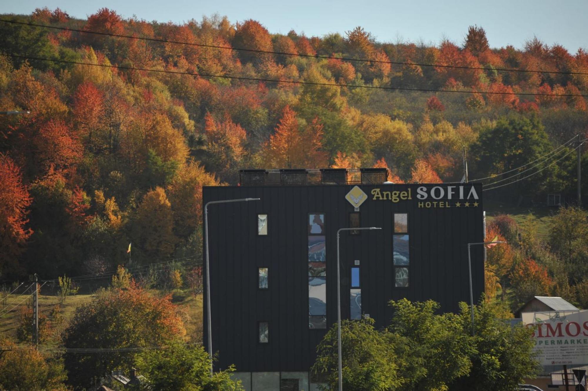 Hotel Angel Sofia Fălticeni Екстериор снимка