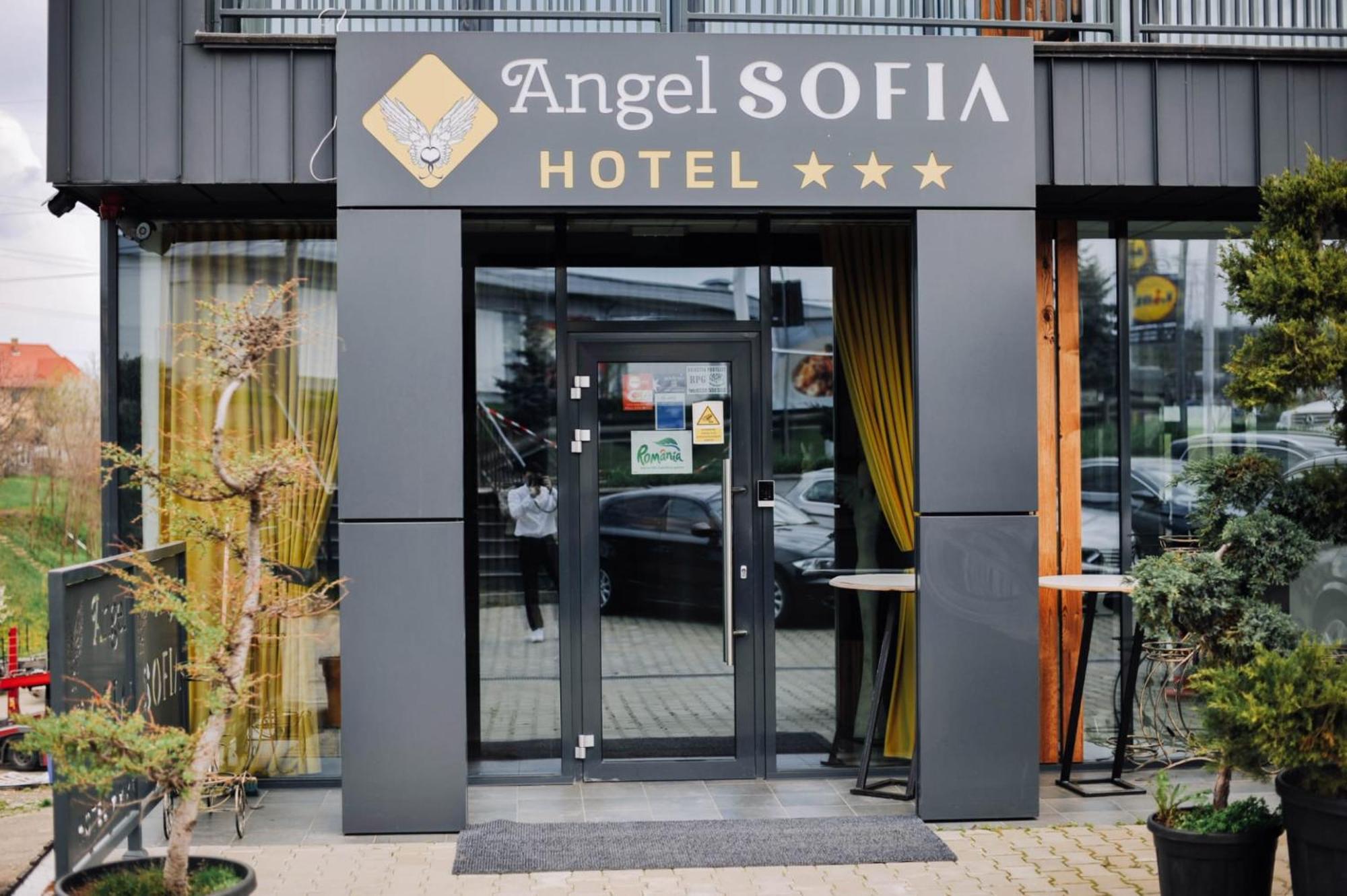 Hotel Angel Sofia Fălticeni Екстериор снимка